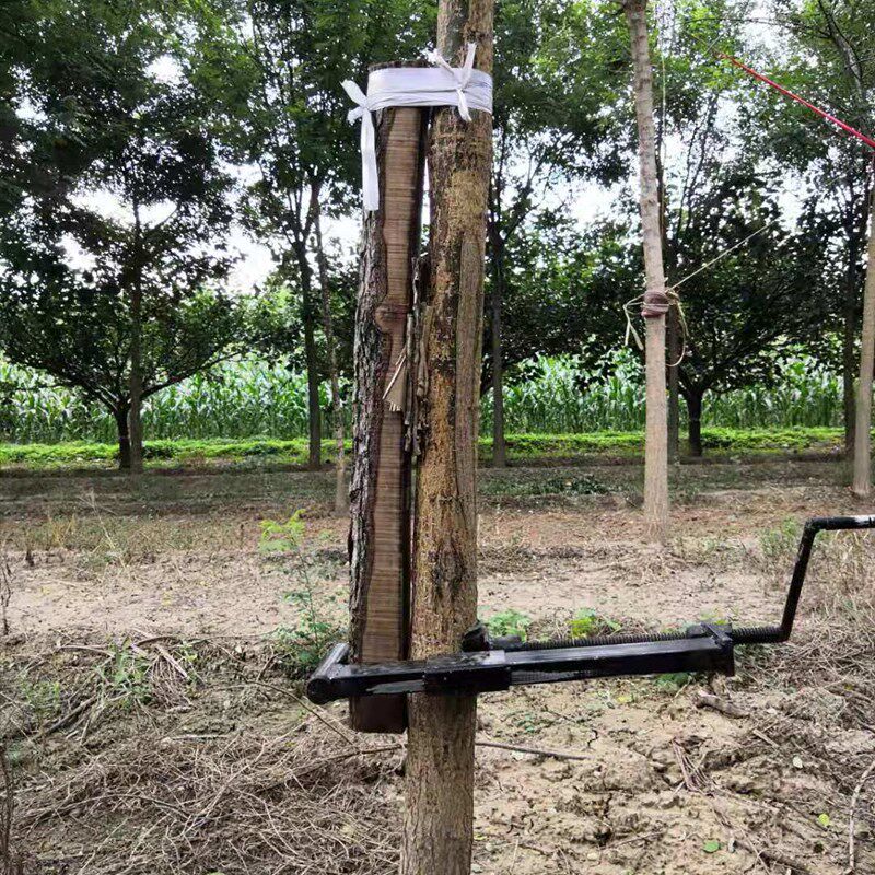 树木直弯器苗木直树器国槐调直器园林工具树木拉直机纠正固定神器