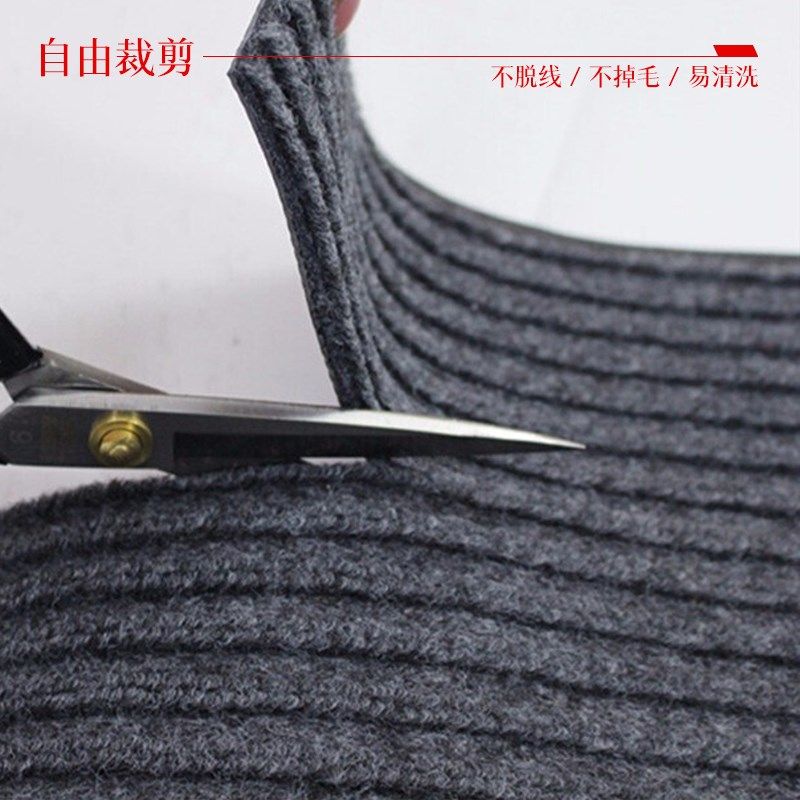 地毯商用酒店门口脚垫门垫火锅店进门走廊过道防滑迎宾入户门地垫,居家布艺,家用脚垫,淘宝优惠券,粉丝福利购,淘宝优惠卷
