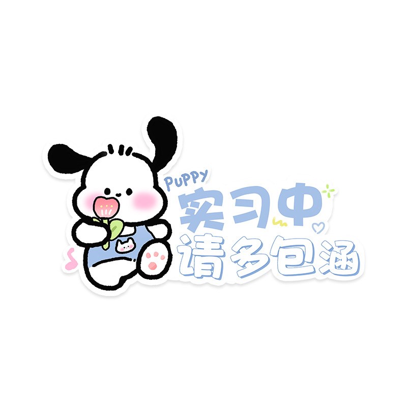 新手实习车贴遮挡划痕车身反光贴女司机实习标志防水防晒磁性吸附