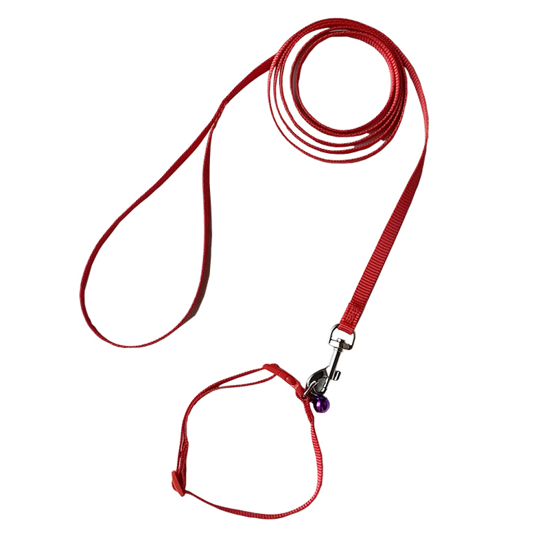 狗狗牵引绳脖圈中小型犬泰迪加长狗绳牵狗绳小狗金毛狗链宠物用品