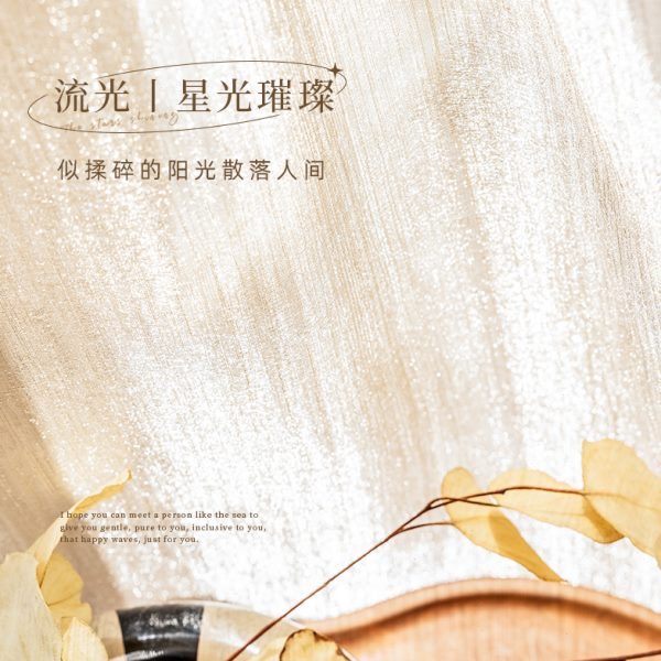 珠光纱帘窗帘高级感轻奢高档法式飘窗卧室梦幻透光不透人流光窗纱