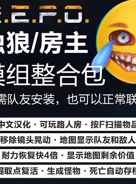 repo-R.E.P.O. 中文汉化补丁steam独狼路人房主专用模组存档mod