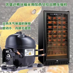 优盛达孵化箱乌龟守宫鬃狮孵化机器蚂蚁甲虫爬虫恒温箱蛇类冬化箱