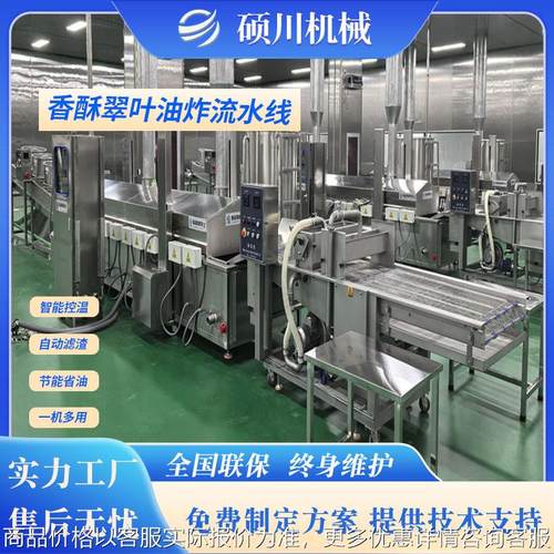 供应酥香桑叶油炸机 桑叶菜上浆油炸设备 翠叶裹浆油炸流水线厂家