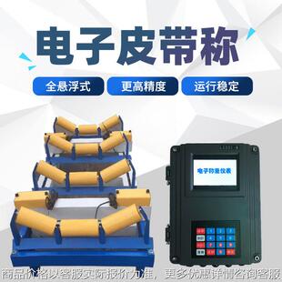 广东-201系列电子皮带秤矿场煤场沙场输送计量皮带称