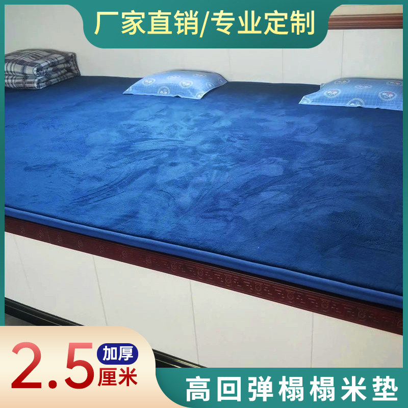 榻榻垫子季款床褥软垫东北农村大炕床垫被防滑地垫