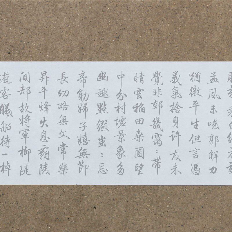 梁诗正行书跋仇英明上河图水写布 放大尺厘字体循环练字
