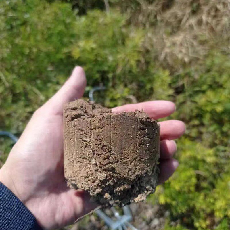 地膜打器种植种瓜定距尺移栽器打洞器取土器杆栽苗器