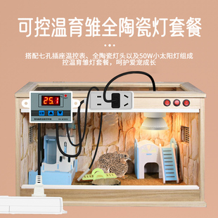芦丁鸡保温灯自动控温保温箱保暖灯幼鸡育雏小鸡取暖温控器太阳灯