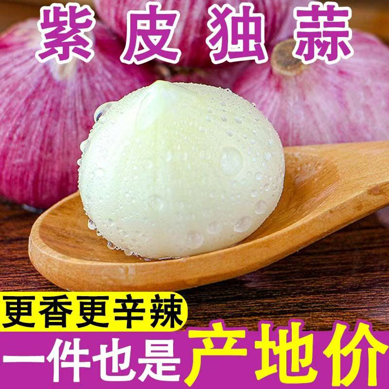 圆头独头蒜产地直发云南晾晒