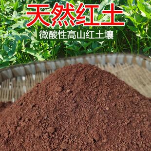 红土种植土三角梅茶花茉莉盆栽花卉种菜营养专用泥土颗粒养龟垫材