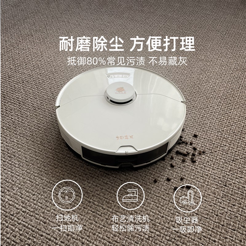 地毯客厅2025新款摄影棚高级感免打理家用沙发地垫卧室大面积全铺