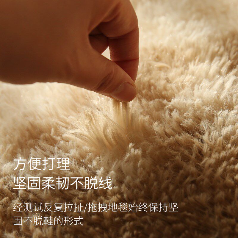 级感地毯客厅规则卧室床边毯洗厚款茶几沙发垫长毛渐变