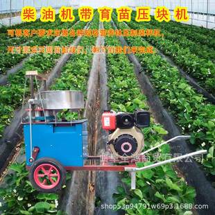 果树幼苗培育营养杯装土机小树育苗制钵机农用大棚植物育苗装钵机