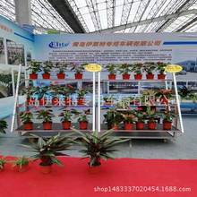 展示花车花店美观花园中心盆栽多肉陈列架鲜花展示移动架