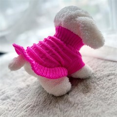 狗狗衣服秋冬款小型犬可爱公主裙子毛衣泰迪比熊幼犬幼猫保暖超小