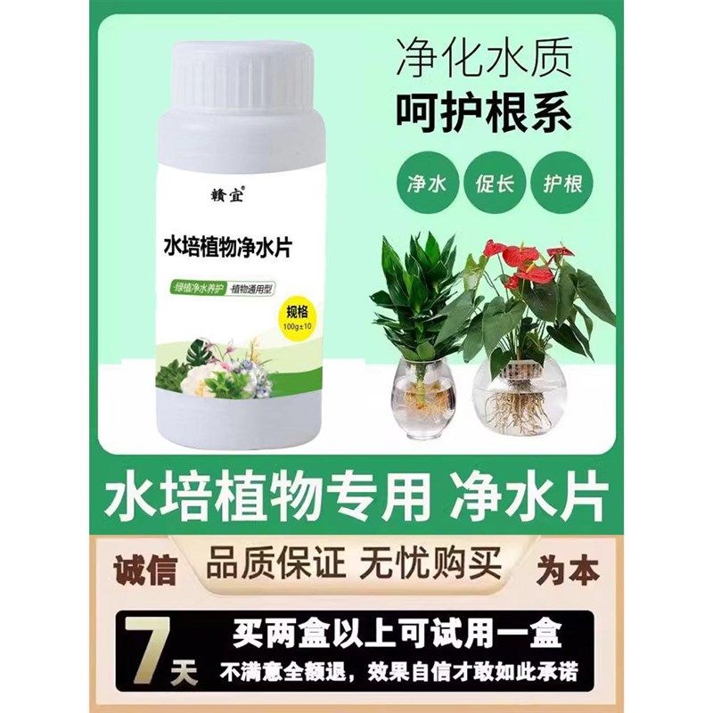 水培净水片富贵竹碗莲鲜花卉植物通用除臭消毒杀菌净化水质免换水,鲜花速递/花卉仿真/绿植园艺,家庭园艺肥料,淘宝优惠券,粉丝福利购,淘宝优惠卷
