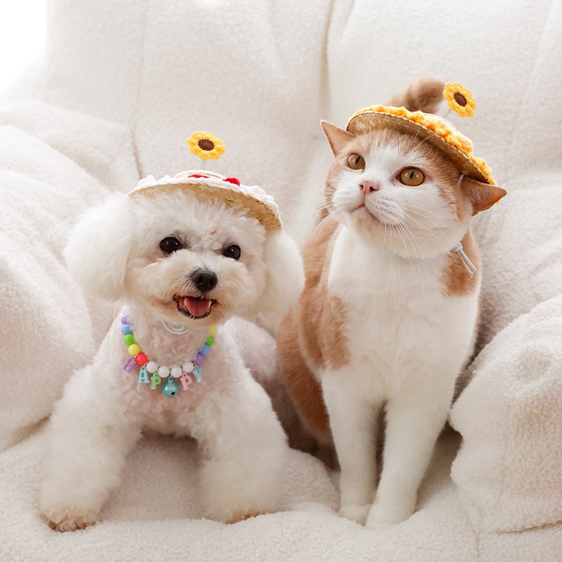 狗狗草帽猫咪遮阳帽可爱旋转竹蜻蜓拍照装扮宠物帽子幼犬小猫头饰