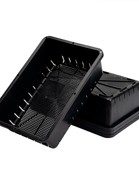 白色加厚多肉叶插育苗盆塑料生石花肉锥育苗盘小号种植播种花盆