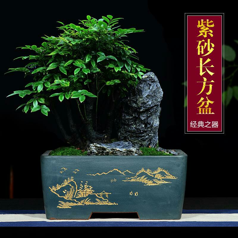 包邮特大宜兴紫砂花盆手工长方盆家用阳台种菜四方盆盆栽花卉绿植