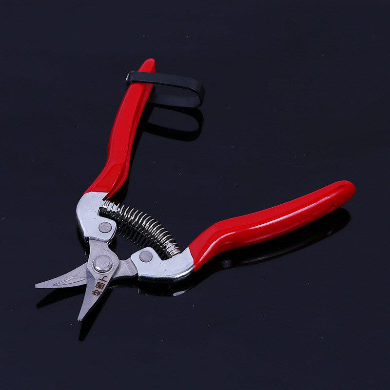 万能好园丁园艺摘果剪刀 盆景 蔬菜辣椒 果树蔬果剪修枝剪 镀铬铁