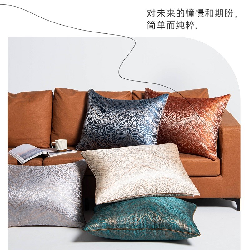 抱枕沙发客厅轻奢高级感靠枕腰枕高端靠背垫靠背枕床头靠垫套枕头