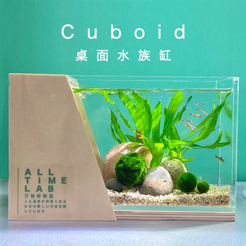 桌面生态鱼缸来潮时Cuboid迷你球藻小微水族缸懒人好养免打理造景