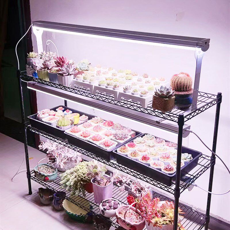 正阳多肉补光灯全光谱上色白光大功率室内育苗植物防徒仿太阳生长,家装灯饰光源,植物生长灯,淘宝优惠券,粉丝福利购,淘宝优惠卷