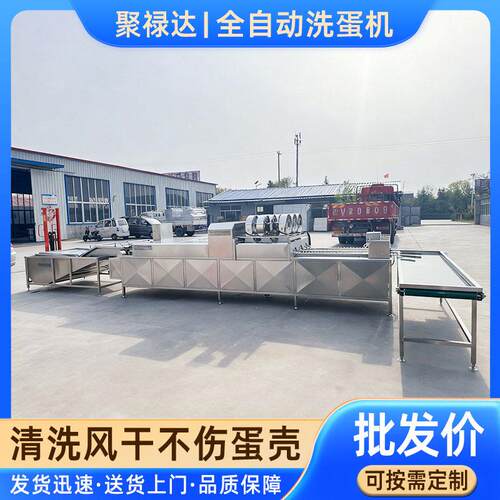 MPZ自动大型功三排洗机蛋 鸡蛋鸭蛋清洗全流水线 多能洗蛋设备厂