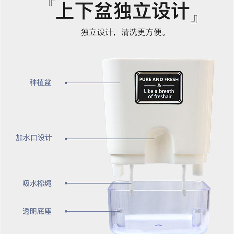 室内懒人花盆长方形自动吸水盆绿萝水仙蝴蝶兰免浇水塑料透明花盆