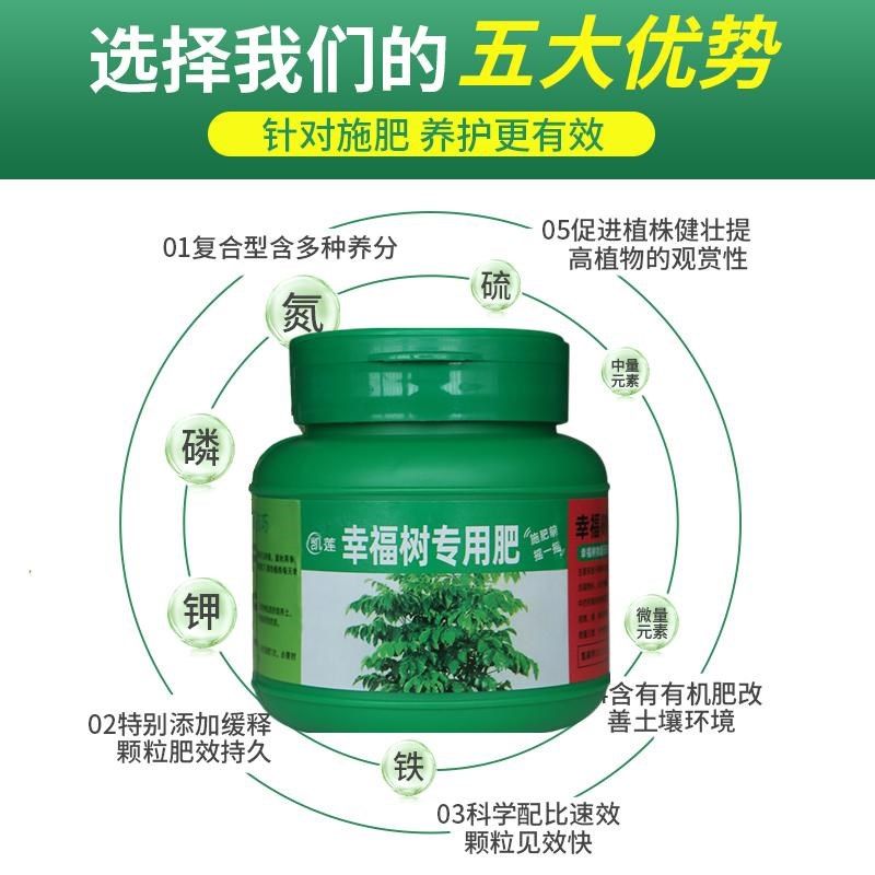 幸福树专用颗粒肥料花肥绿叶盆景盆栽营养液黄叶室内绿植施肥养护,鲜花速递/花卉仿真/绿植园艺,家庭园艺肥料,淘宝优惠券,粉丝福利购,淘宝优惠卷