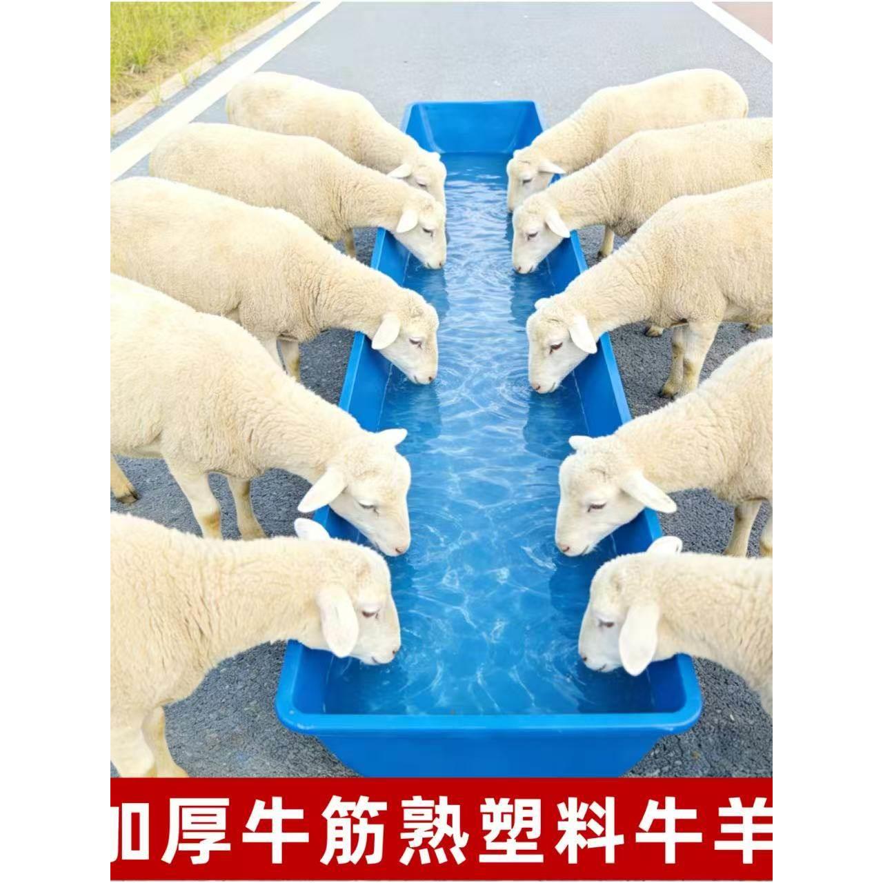牛槽食槽喂牛食槽羊食槽牛羊料槽塑料牛槽子加厚马槽水槽养殖设备