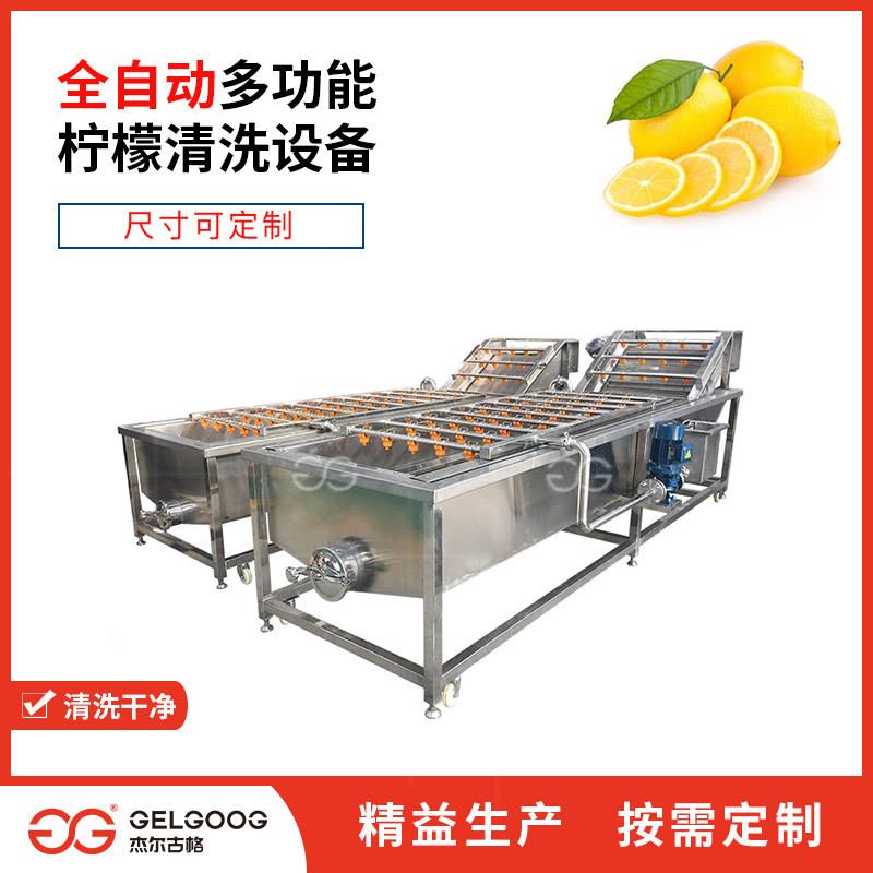 食品厂水果喷淋清洗机械柠檬清洗机全自动洗果机柠檬清洗设备