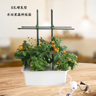 幸运买家无土栽培花盆番茄黄瓜文竹果蔬绿植5孔增氧型水培种植箱