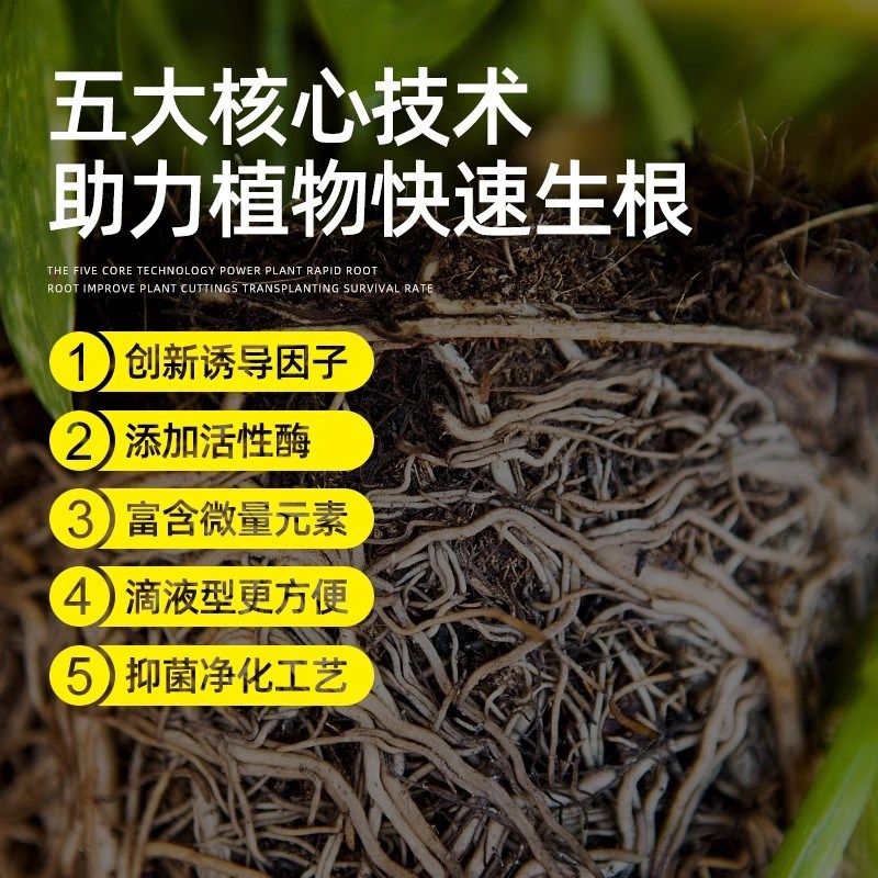 扦插生根液快速高效生根剂玫瑰月季花卉植物果树通用型移栽发根剂,鲜花速递/花卉仿真/绿植园艺,家庭园艺肥料,淘宝优惠券,粉丝福利购,淘宝优惠卷