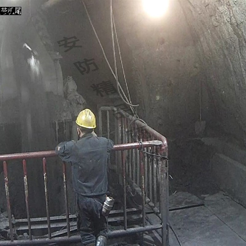 百兆八路8光8电单模双纤网路隔爆本安型矿用防爆光端机环网交换机