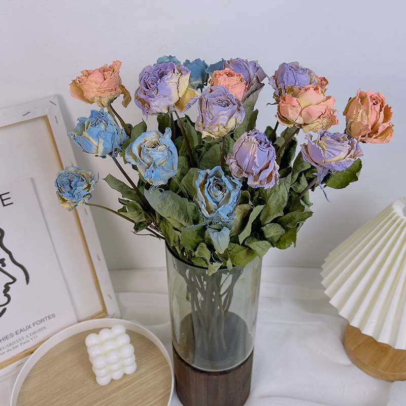 彩色碎冰蓝玫瑰干花真花diy花瓶插花装饰摆设相框花材染色干花