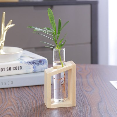 桌面水培植物竹柏水培绿植室内小型摆件简约木架办公桌小花瓶装饰