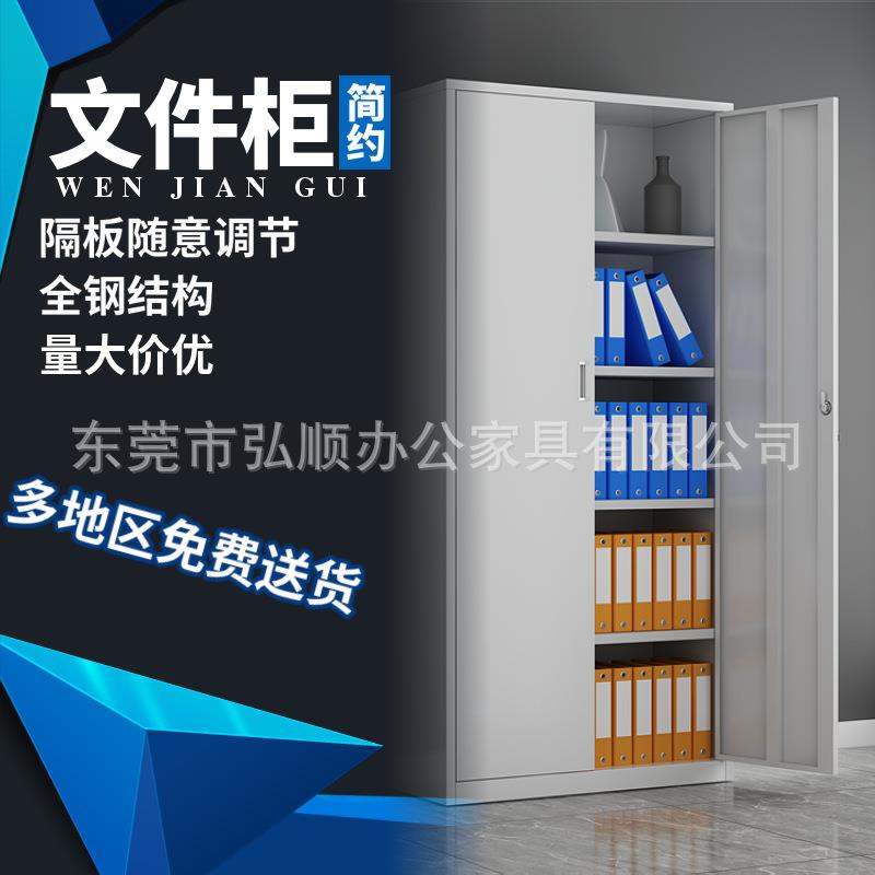 二门文件柜铁皮柜办公室钢制储物柜资料柜档案柜带锁双铁门文件柜