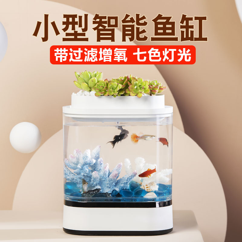 画法几何办公室生态迷你懒人斗鱼mini鱼缸小型桌面精致办公桌绿植