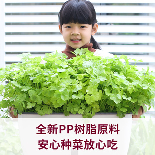 阳台种菜懒人花盆室内家庭自吸水塑料长方形植物花卉种植箱盆栽