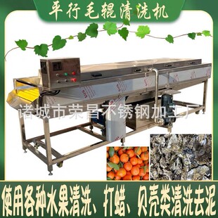 平型毛辊清洗机 胡萝卜清洗设备 全自动平行喷淋毛刷清洗机