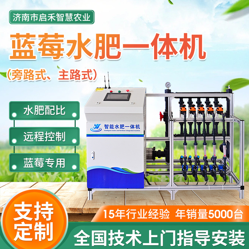 加工定制蓝莓专用水肥机无土栽培草莓施肥灌溉一体设备智能控制