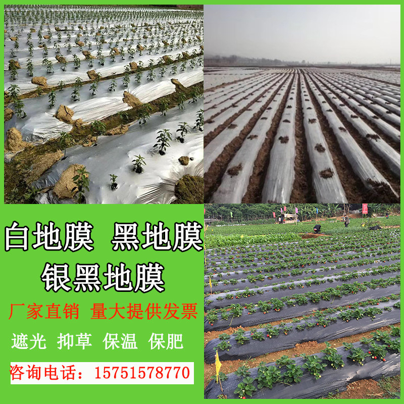 农用黑色白色银黑色地膜除草防虫塑料膜果园蔬菜大棚西瓜草莓用