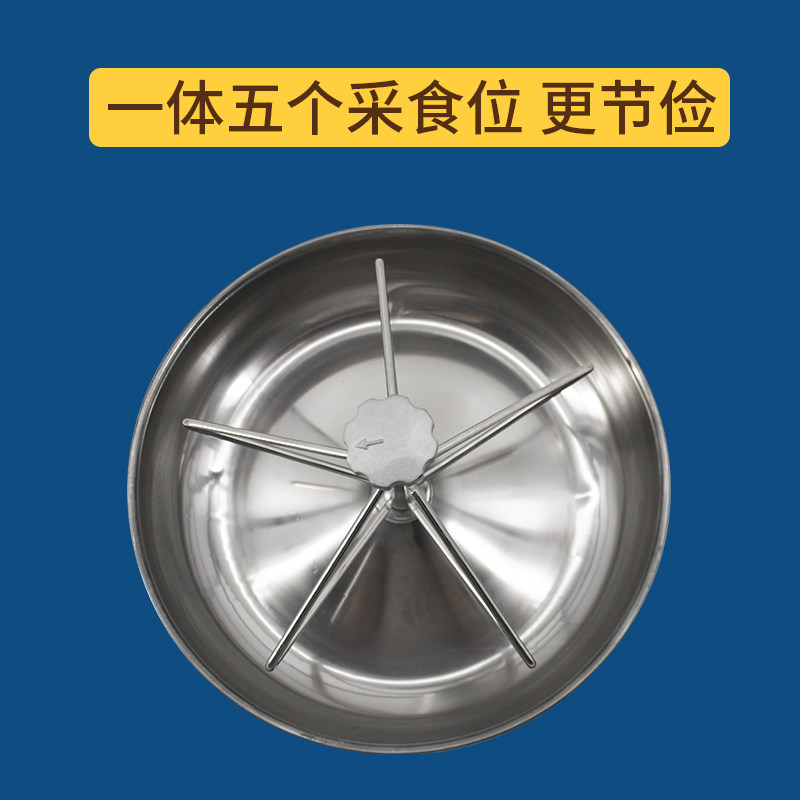 仔猪料槽 养殖小猪补料槽 保育床产床猪仔料槽 养猪设备
