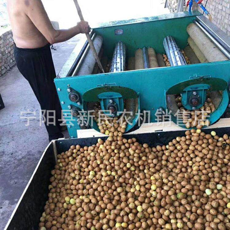 青核桃去皮清洗一体机核桃剥皮机带清洗一次完成去皮干净清洗干净