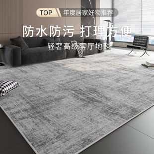 轻奢高级感可擦免洗防水沙发茶几毯家用卧室地垫 地毯客厅2024新款
