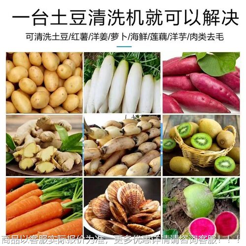 毛辊生蚝洗机生25 .....姜芋头莲藕红薯去皮清土豆马猪蹄马铃薯机