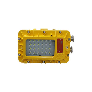 LED防爆泛光灯BFC8128巷道照明灯24W节能BFC8128A油库洞库工作灯