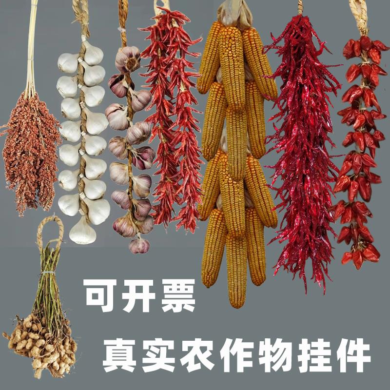 真农作物丰收晒秋活动装饰玉米棒干红辣椒串大蒜高粱麦穗五谷丰登